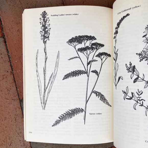 2 Acadia National Park Guides Downeast Carriage Road Maine Nature Outdoor - Picture 7 of 17